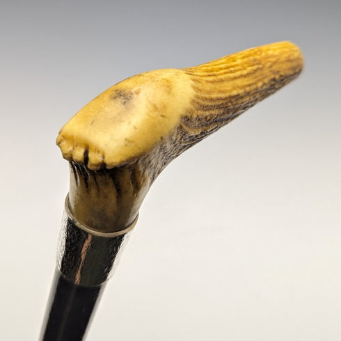 1889 British Antique Men's Walking Stick Antler Clutch Handle 91cm